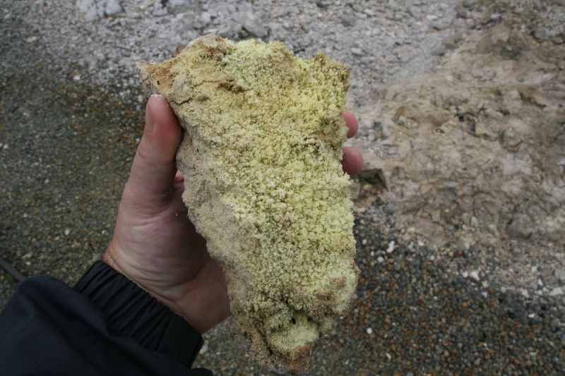 Nieuw-Zeeland 2011 - 0628